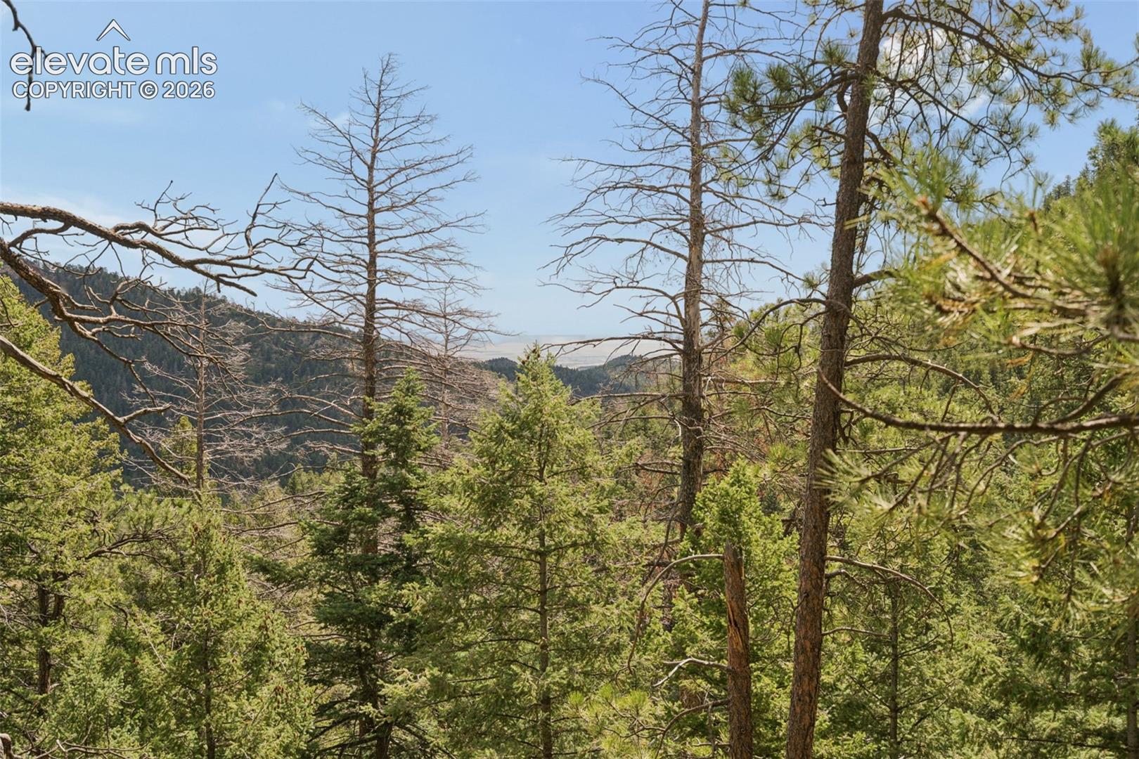 Photo 40 of 5110 Little Turkey Creek Road, Colorado Springs