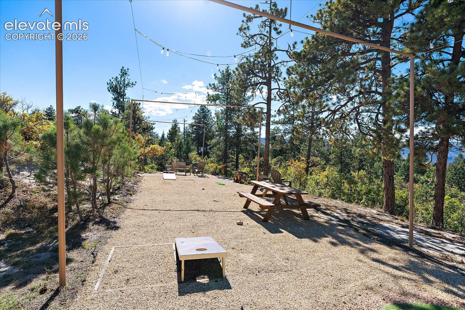 Outdoor recreational space featuring a leveled gravel area, overhead string light infrastructure, and mature pine trees