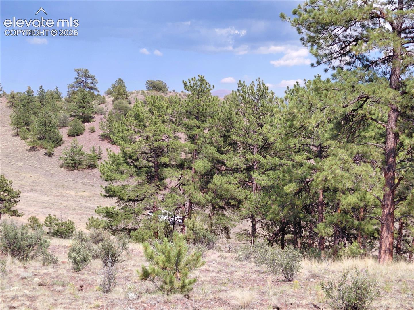 Photo 22 of Tract 70 Owls Nest Road, Guffey