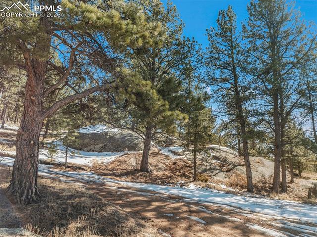 10448 County Road 1, Florissant, CO 80816