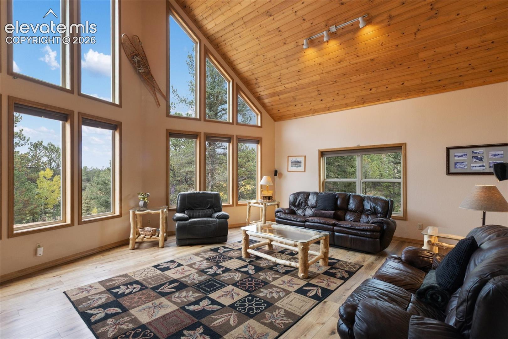Vaulted wood-paneled ceiling, expansive windows with wood trim, wood-finish flooring, and track lighting