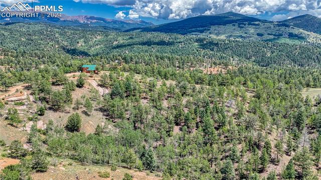 Photo 11 of 24 Wild Horse Circle, Cripple Creek