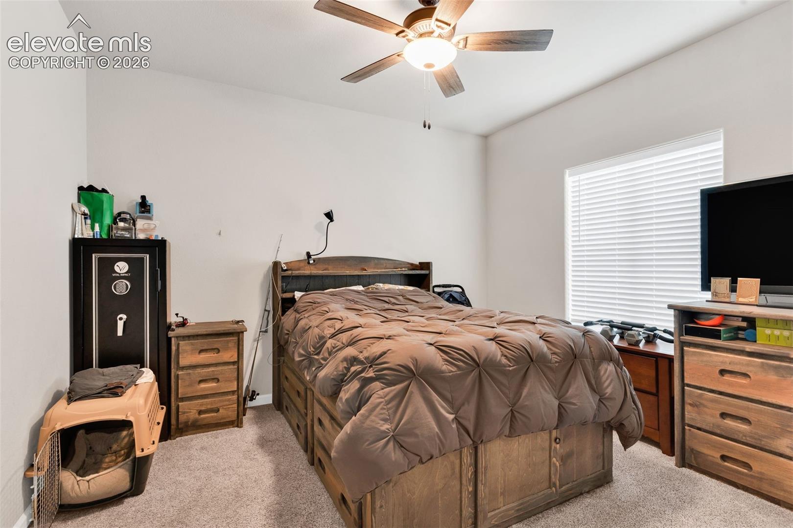 Carpeted bedroom featuring a ceiling fan, window with blinds, and white painted walls