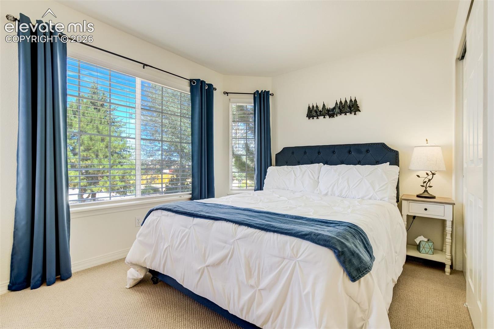 Large windows with grid detailing, neutral carpeting, and a multi-panel sliding door