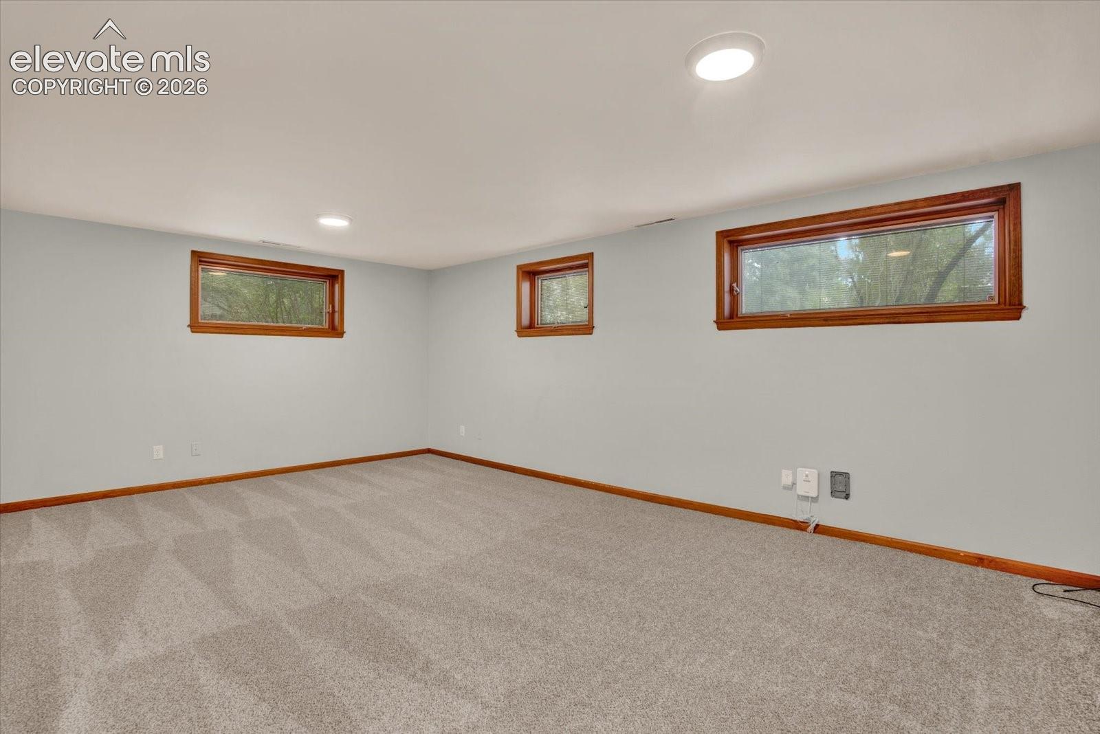 Brand new carpet!