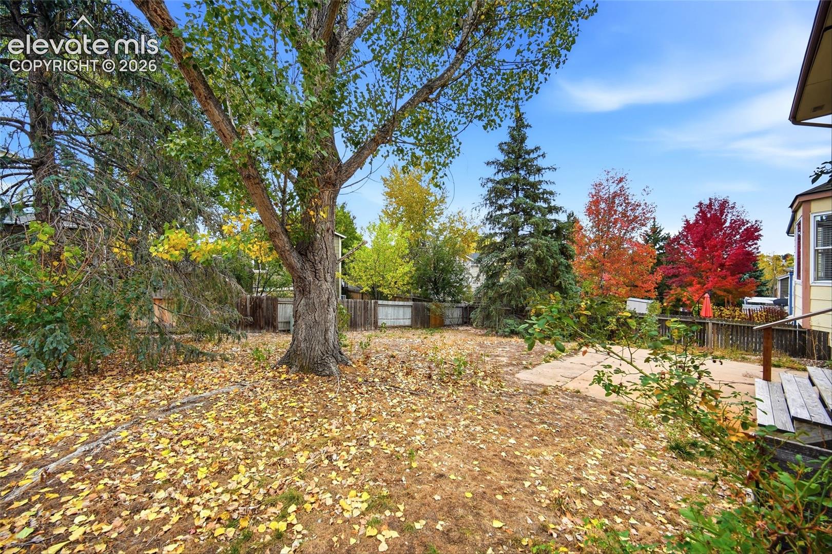 Backyard featuring a concrete patio, wood-slat perimeter fencing, and mature deciduous and coniferous trees