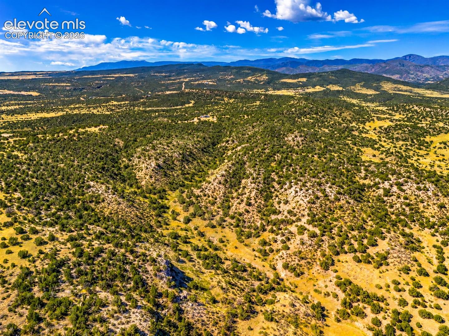 Ground-level view showcasing gently sloping terrain, native grasses, and scattered juniper trees beneath a beautiful blue sky.

