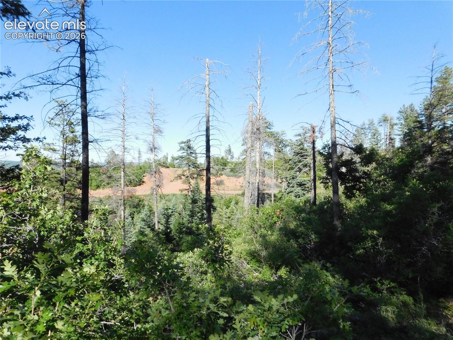 Photo 7 of Lot 11 Cheyenne Drive, Larkspur