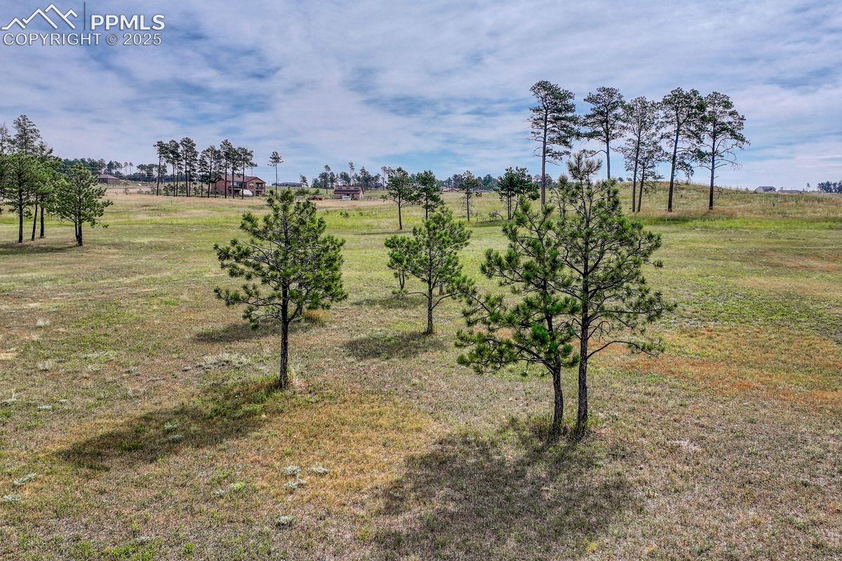 Photo 23 of LOT 4 Forest Heights Circle, Colorado Springs