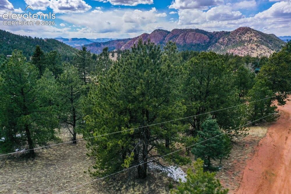 View of mountain feature with a wooded view