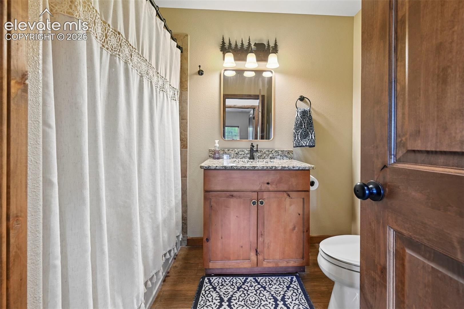 Basement Bathroom