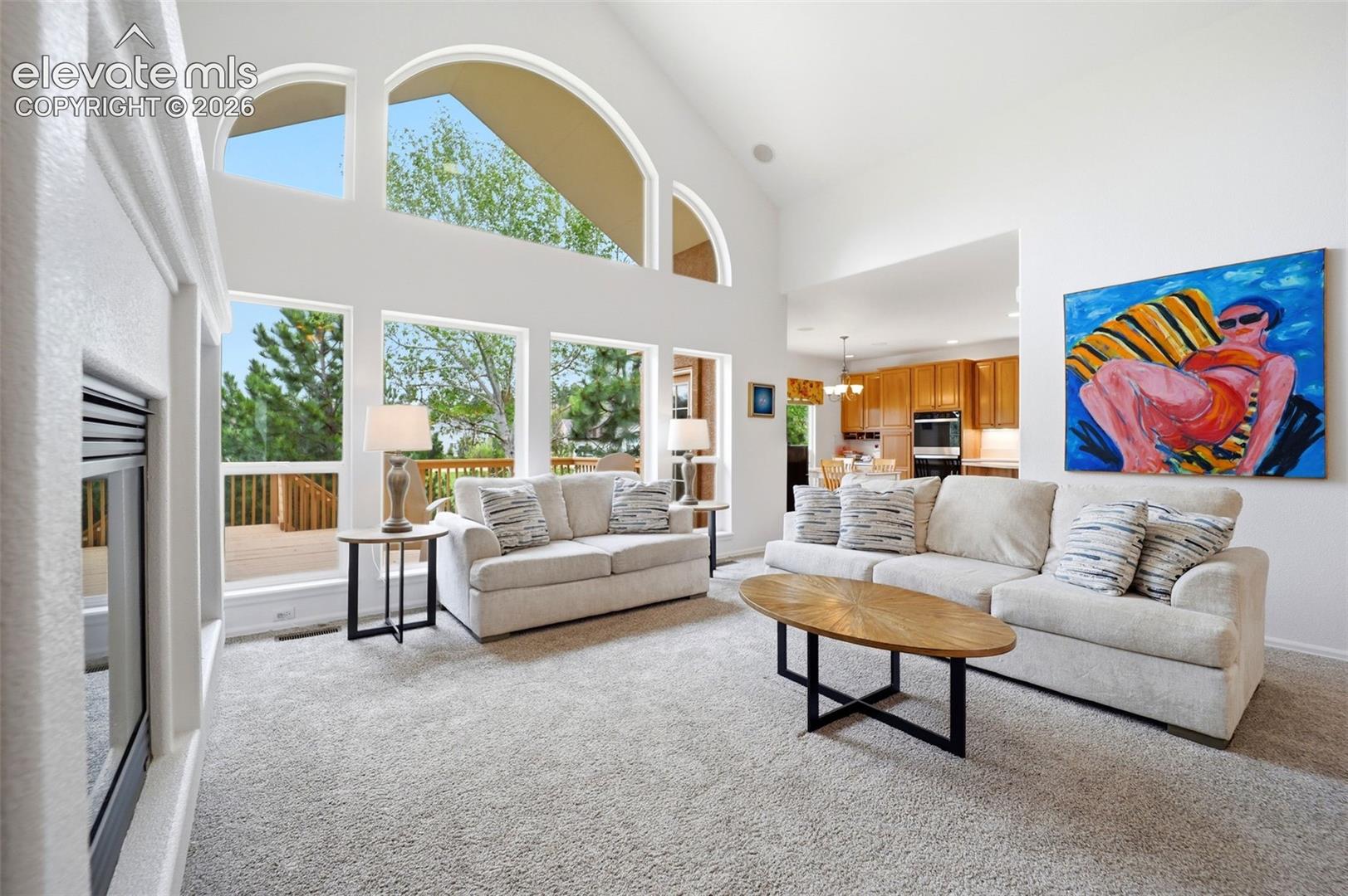 20247 Melanie Ann Ct, Monument, CO 80132 photo