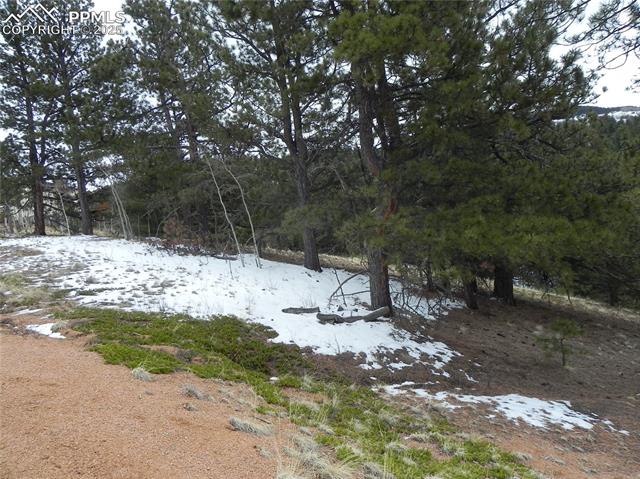 Photo 10 of 153 Idlewild Drive, Cripple Creek