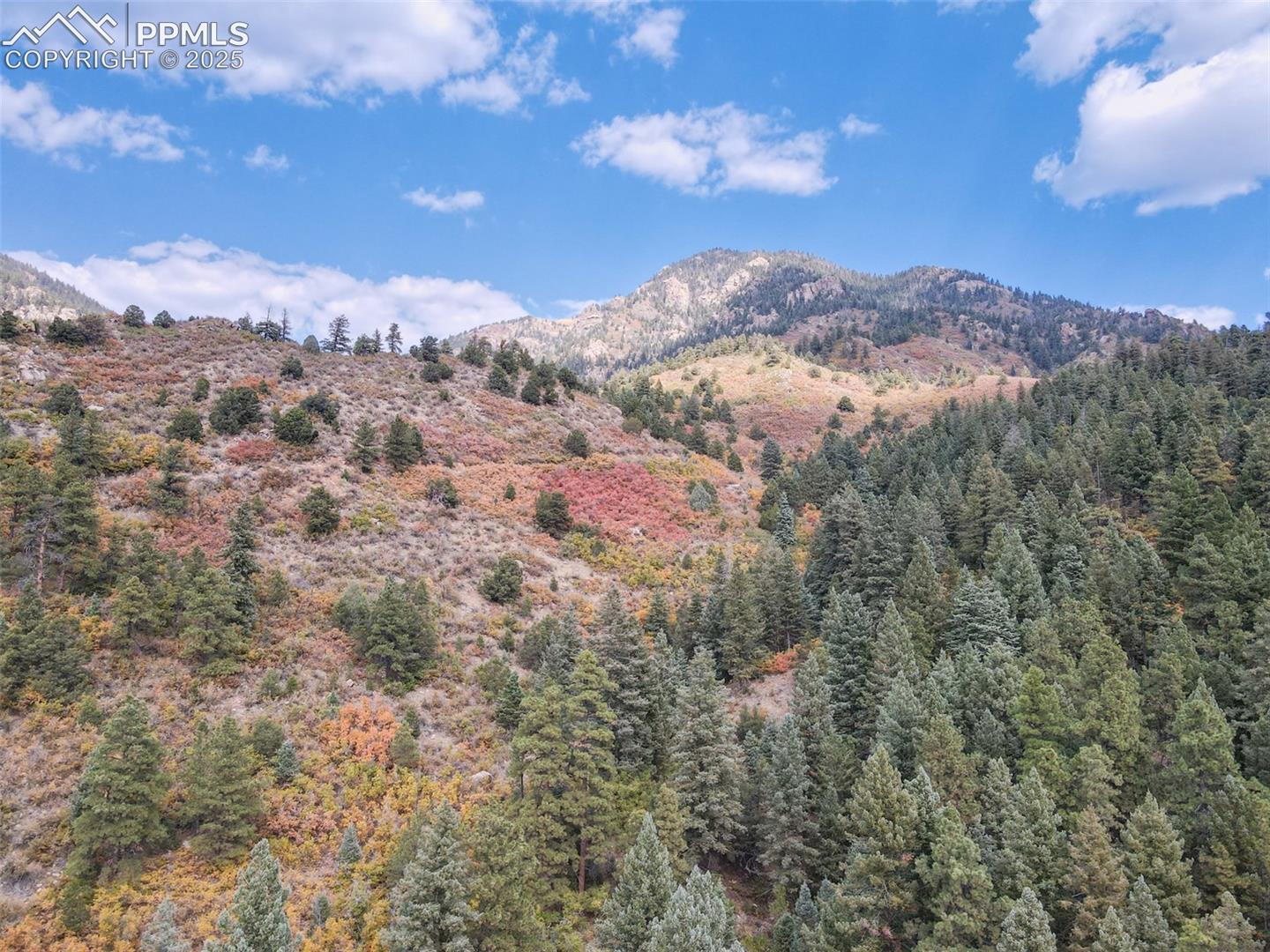Photo 11 of 4950 Little Turkey Creek Road, Colorado Springs