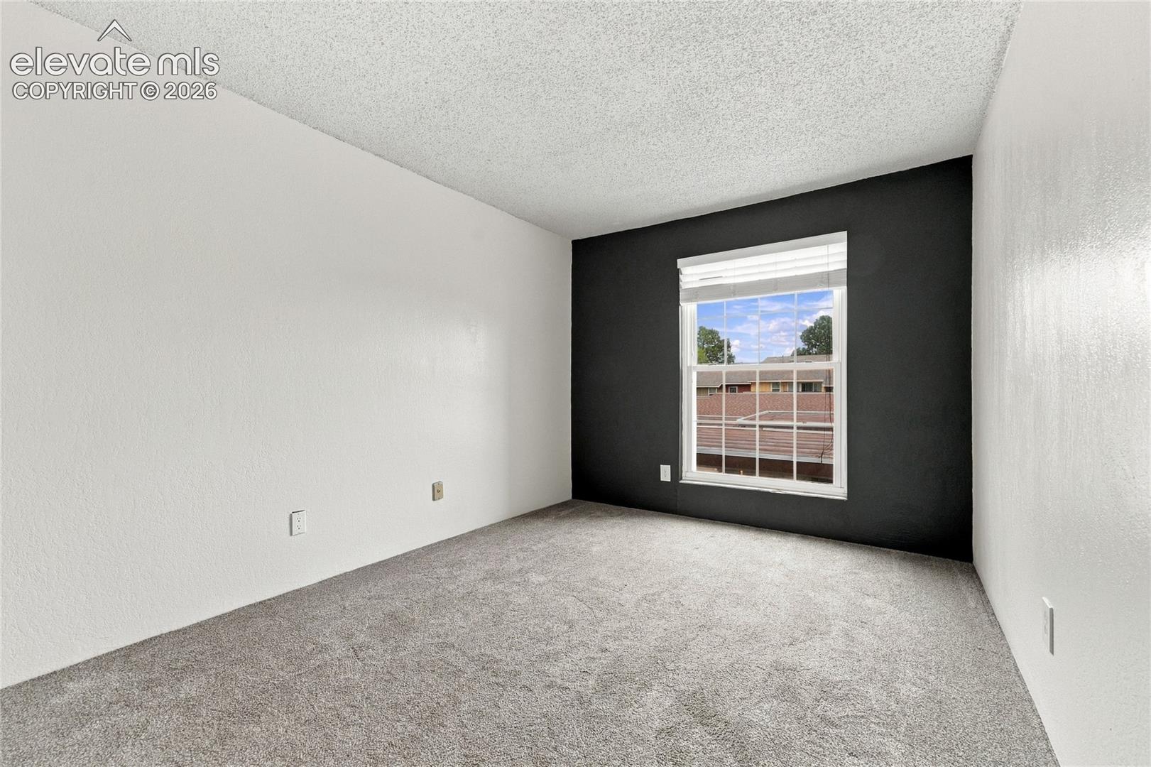 Neutral-toned carpeting, high-contrast dark accent wall, and single-hung window with white muntins