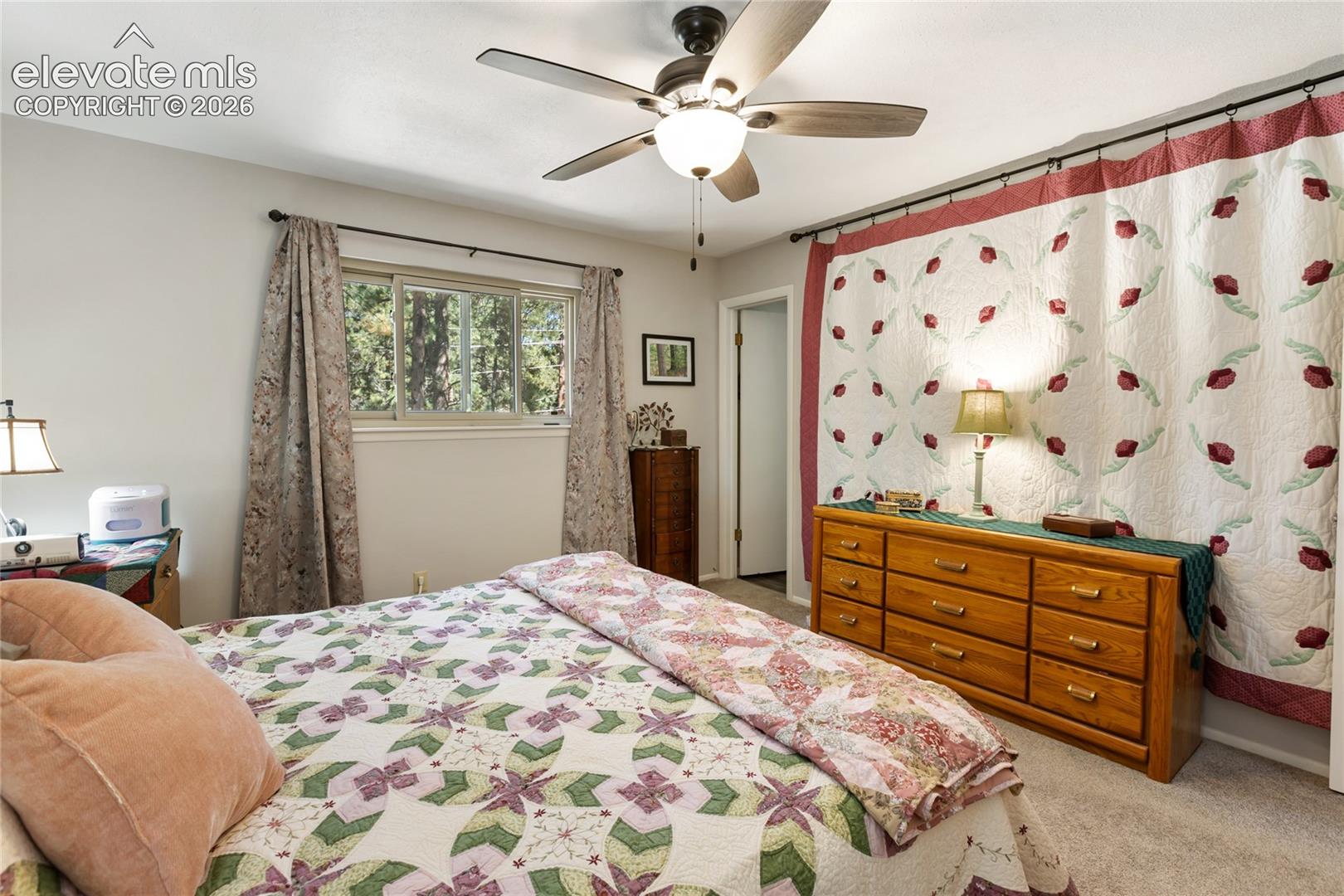 Ceiling fan, window with exterior foliage, wall-to-wall carpeting, and neutral wall paint