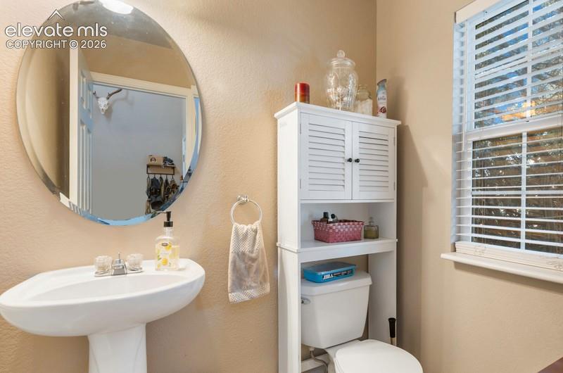 Photo 14 of 7033 Harrier Drive, Colorado Springs