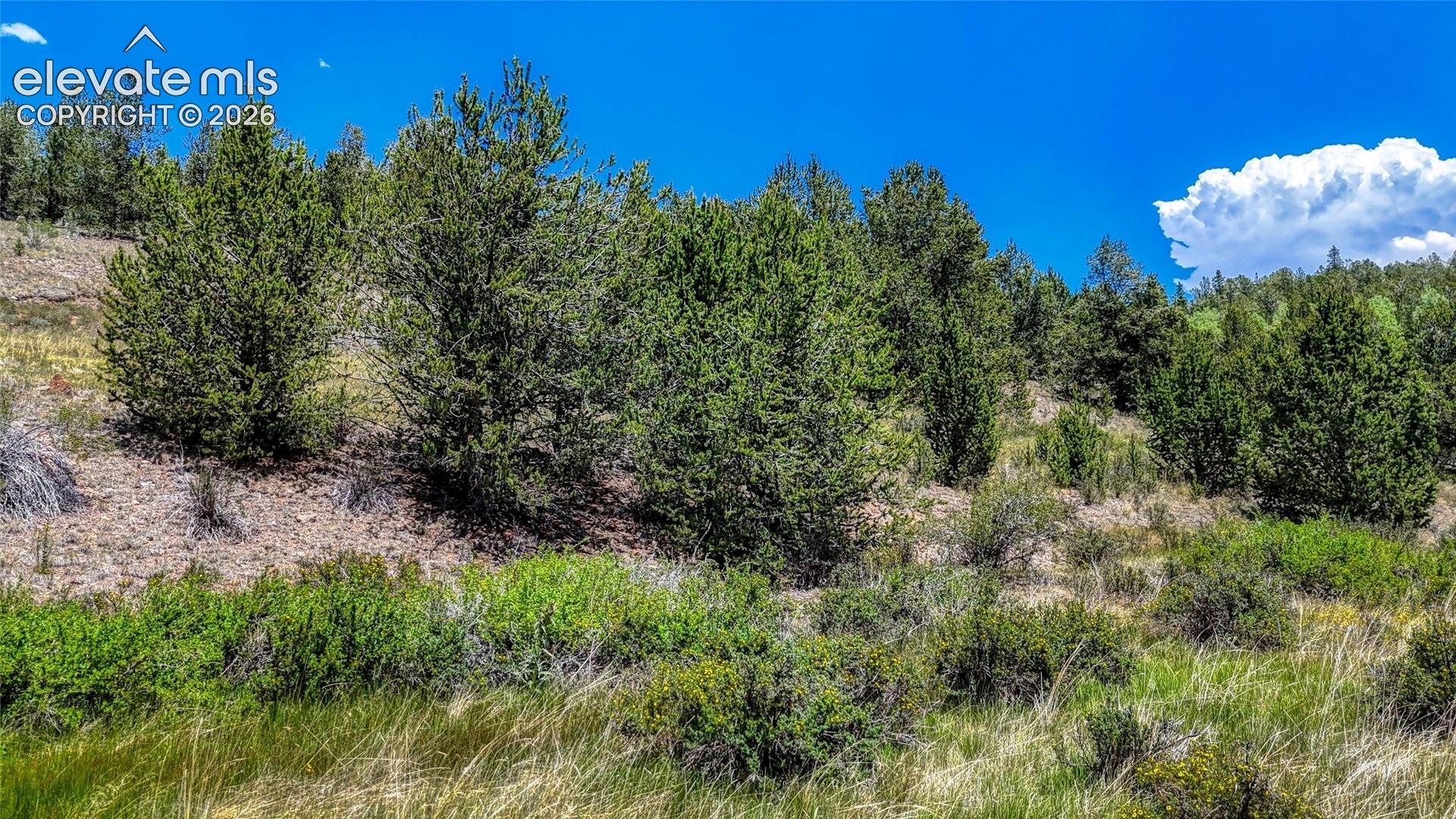 Photo 19 of Highway 67, Cripple Creek