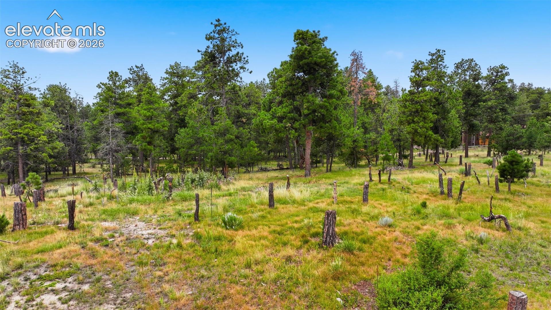 Photo 11 of 17374 Goshawk Road, Colorado Springs