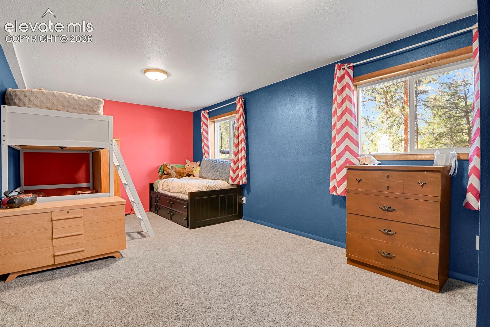 Lower level bedroom
