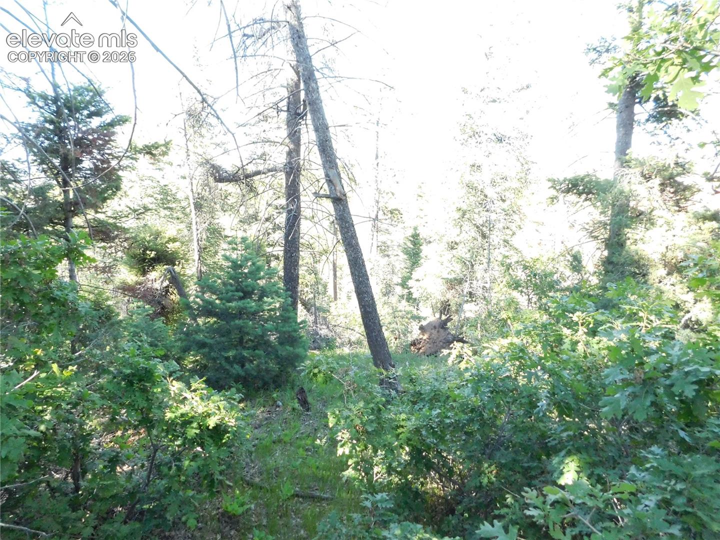 Photo 8 of Lot 11 Cheyenne Drive, Larkspur
