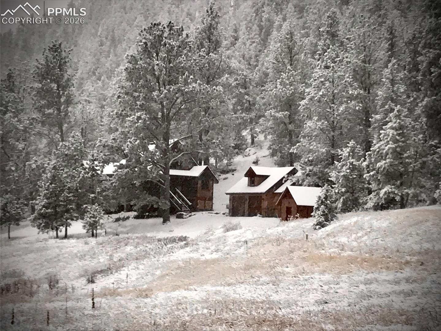 Welcome to a Winter Wonderland! 
