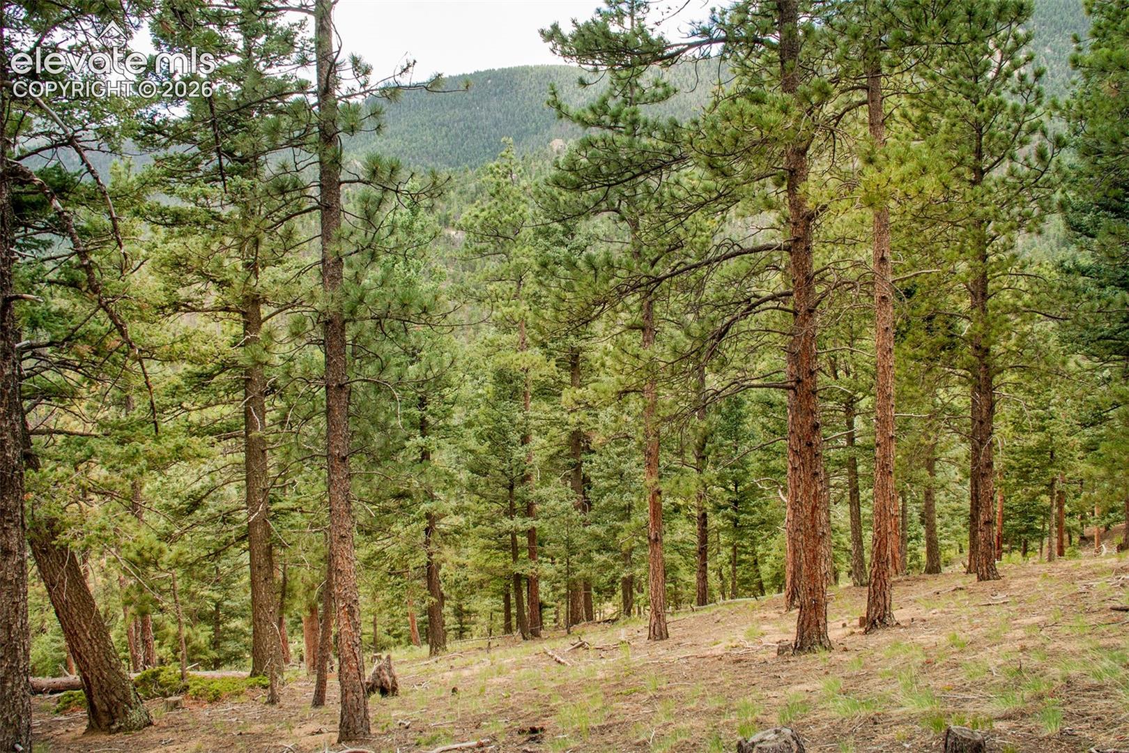 Photo 15 of 266 Aspen Ridge Road, Manitou Springs