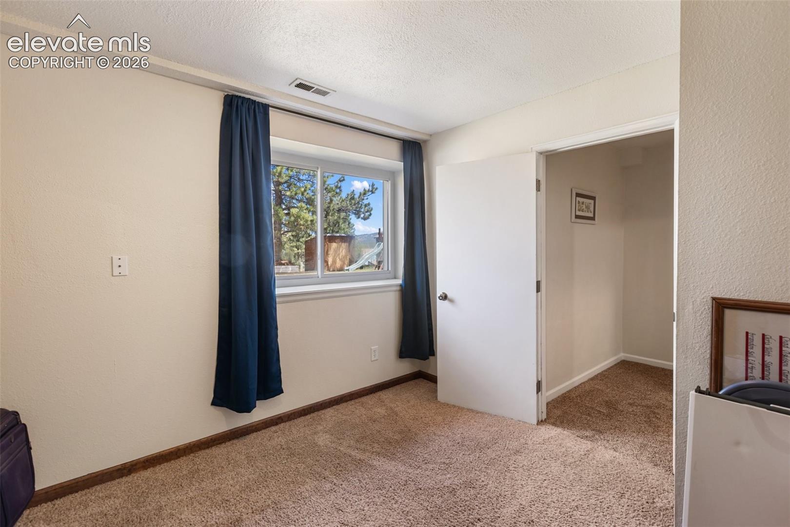 Photo 29 of 1010 W Bowman Avenue, Woodland Park