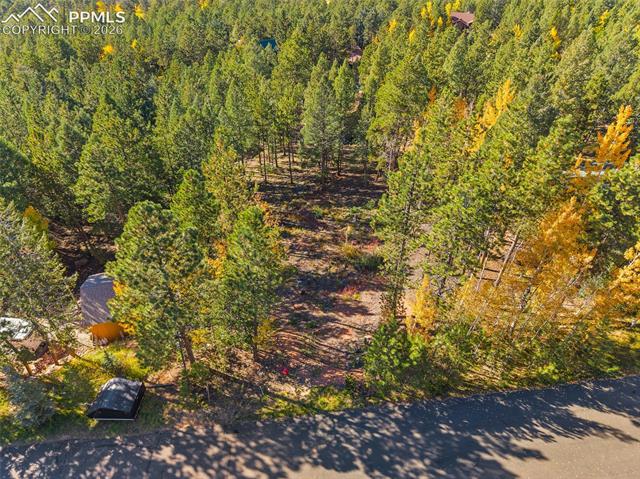Photo 13 of 1320 Forest Edge Road, Woodland Park