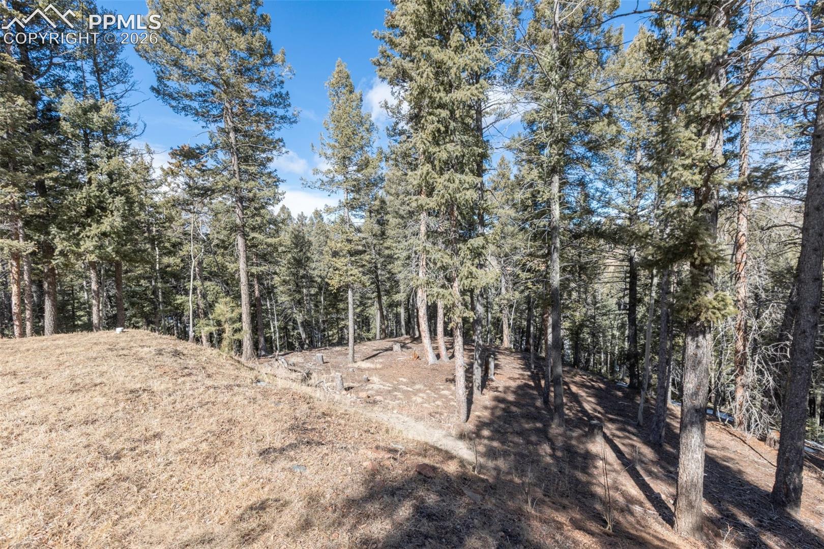 Photo 34 of 935 Bennett Drive, Cripple Creek