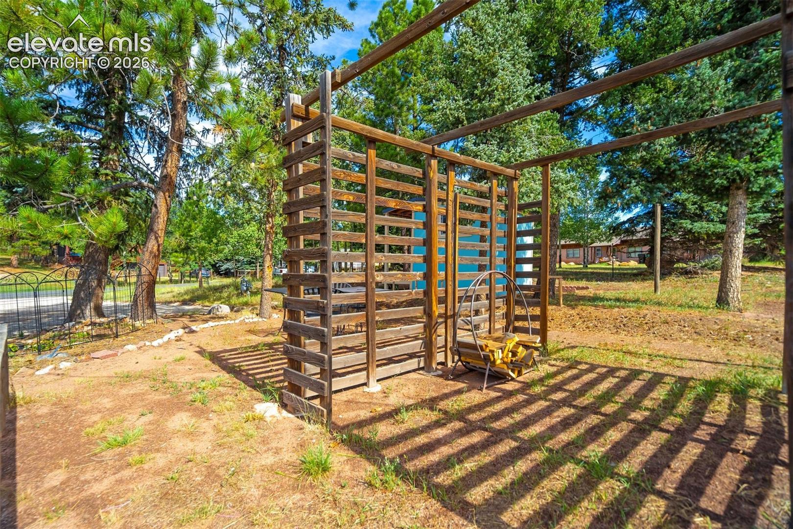 Back yard