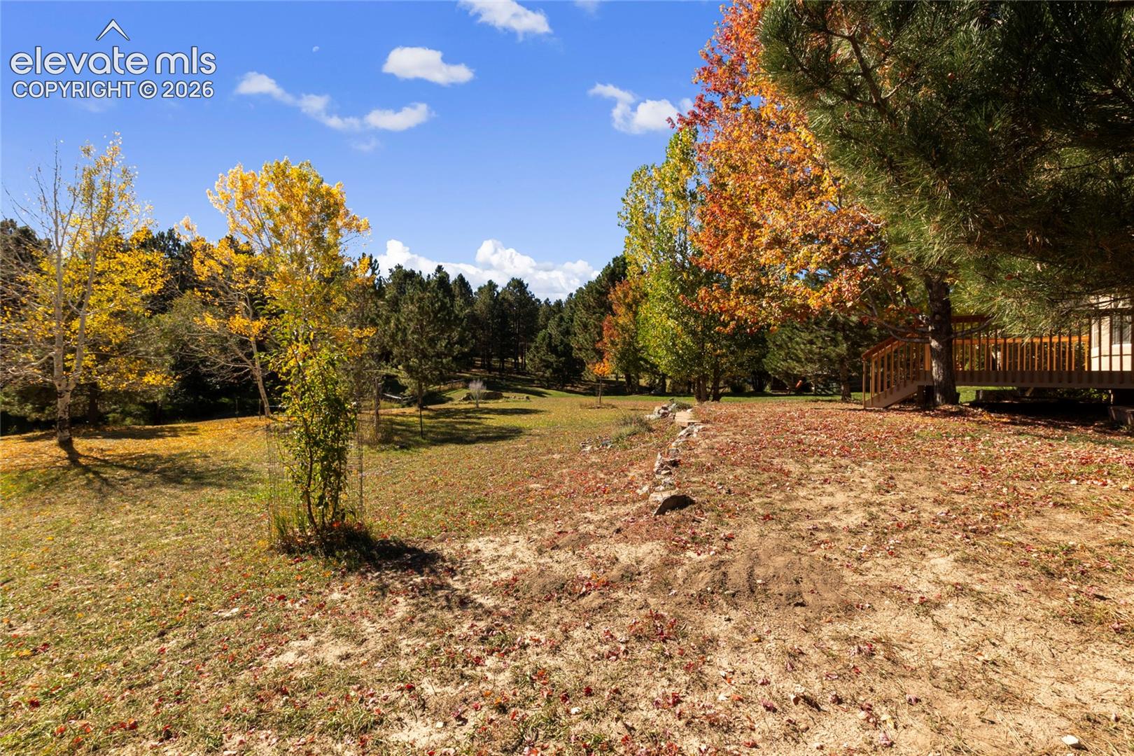 Expansive grounds featuring mature deciduous and coniferous trees, a raised wood deck, and natural stone landscaping elements