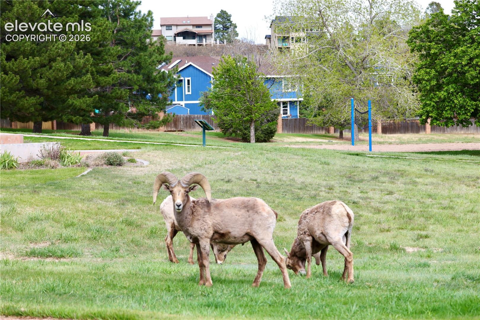Photo 36 of 5230 Champagne Drive, Colorado Springs