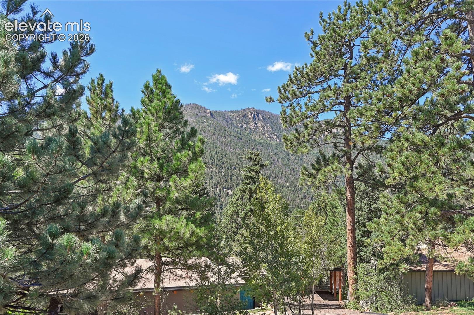 Why we move to the mountains