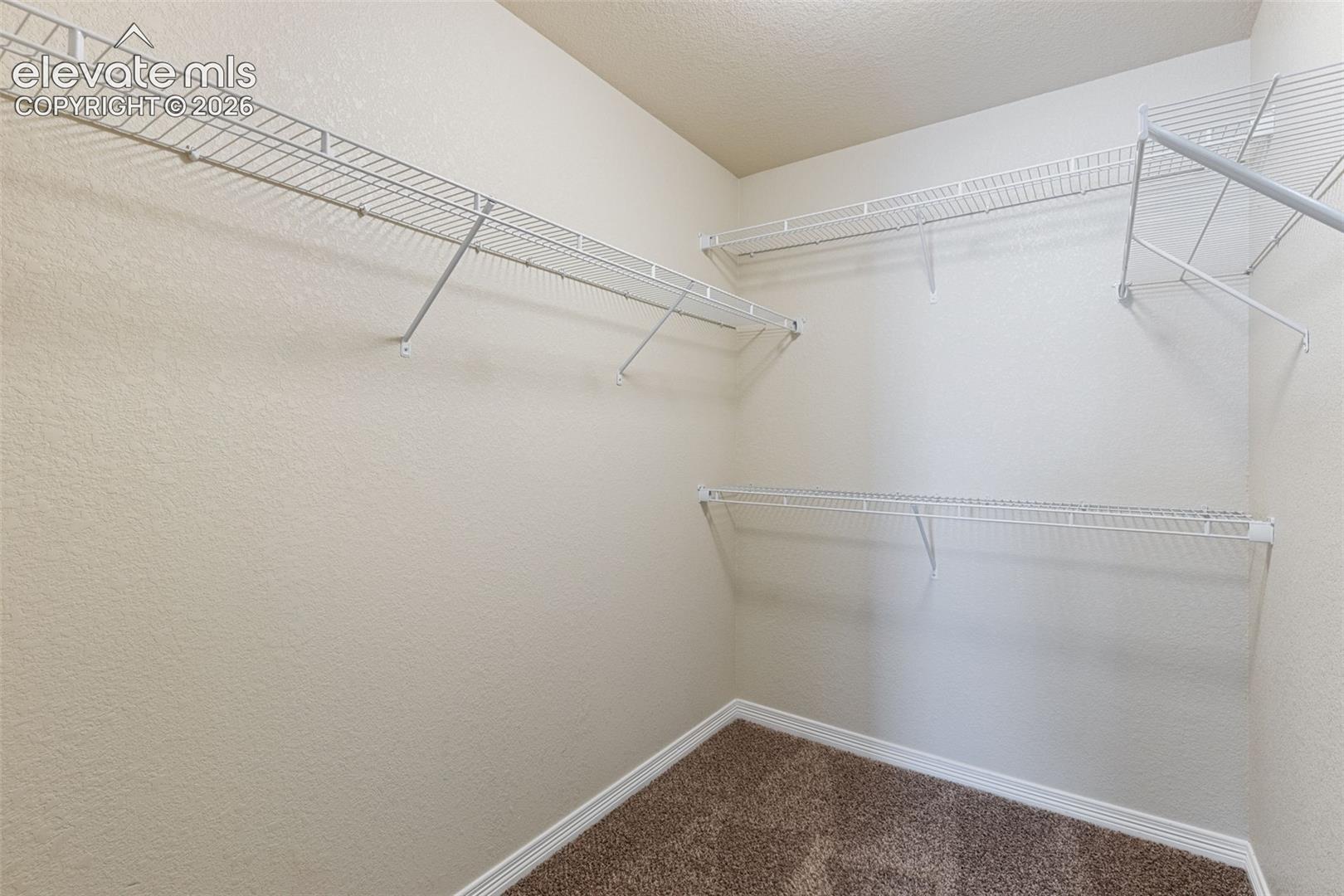 Photo 29 of 7916 Lightwood Way, Colorado Springs