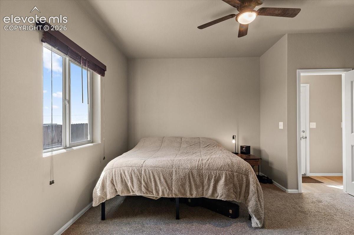 Neutral tone wall paint, window with blinds, ceiling fan with integrated lighting, and carpeted flooring