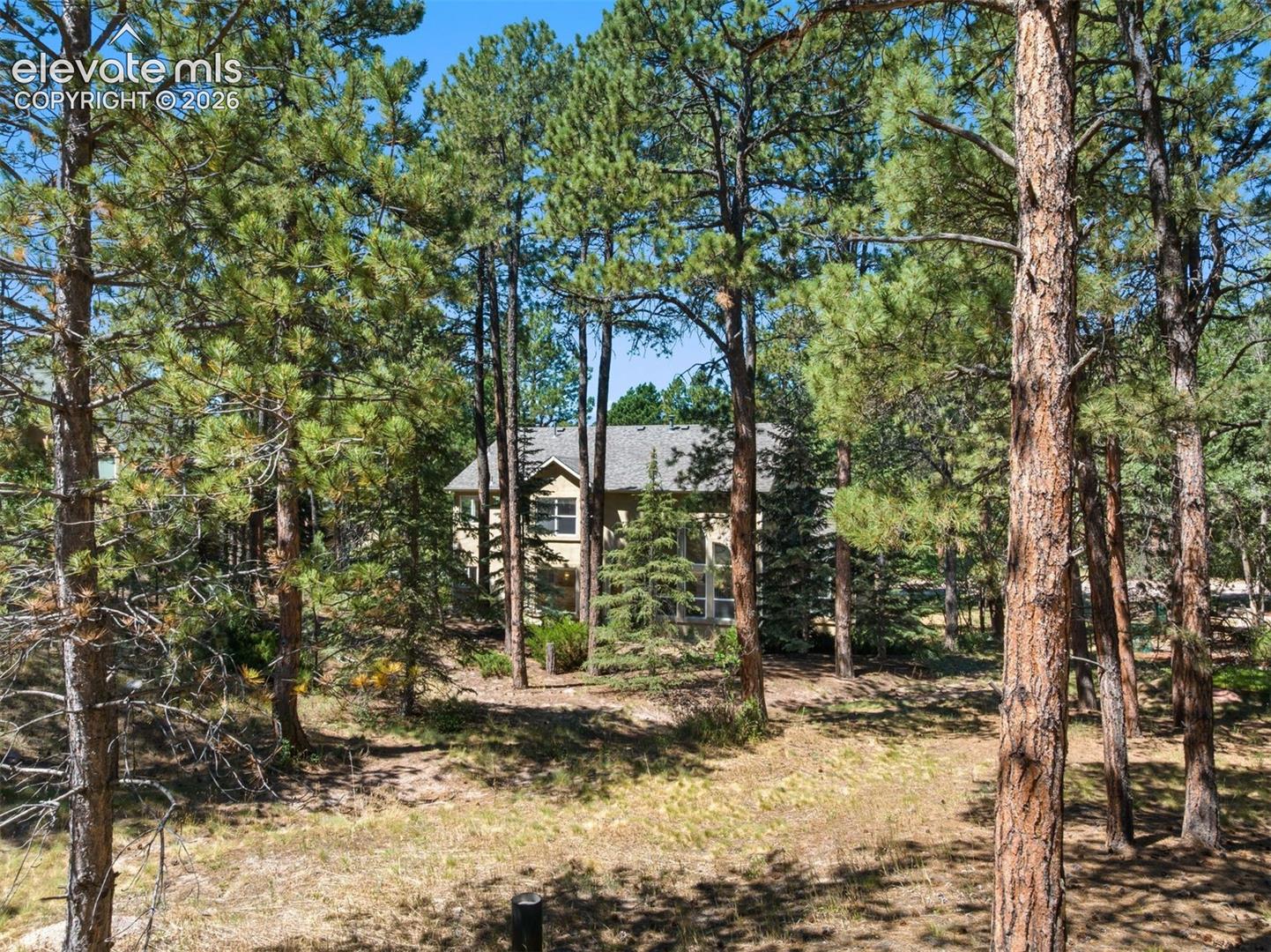 Photo 46 of 15930 Longmeadow Lane, Colorado Springs