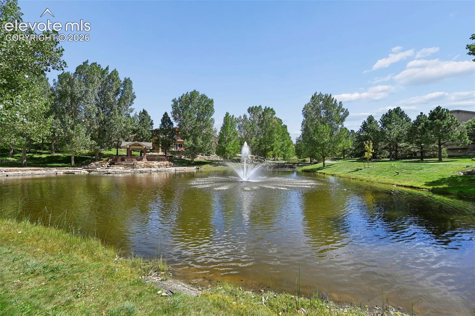 Neighborhood Pond
