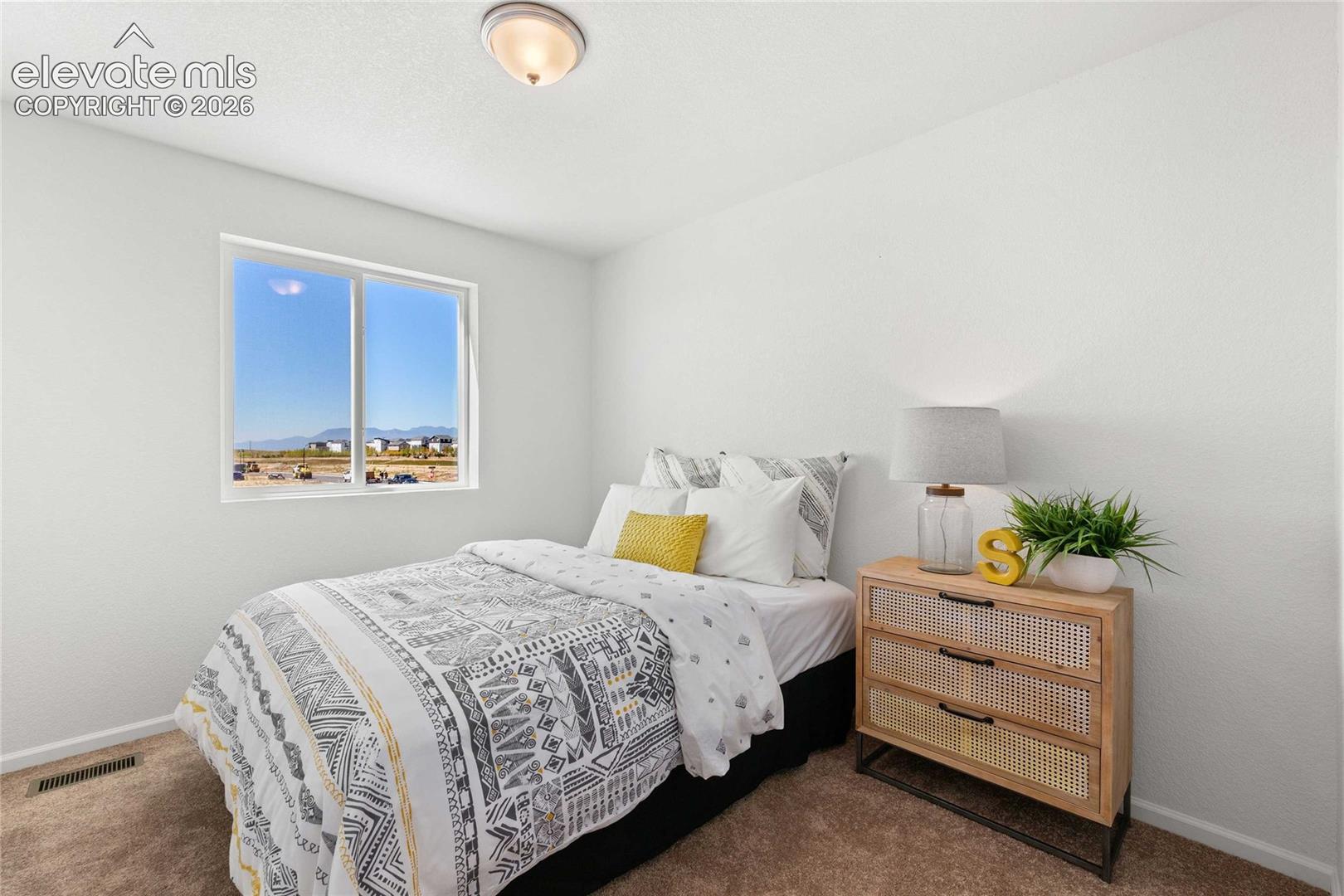 Neutral wall finishes, textured carpeting, and a flush-mount ceiling light fixture
*photos  of a model home*