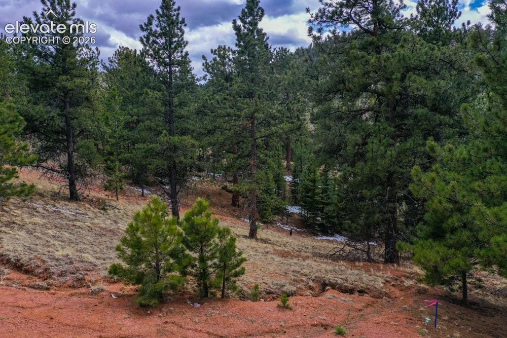 View of landscape featuring a wooded view