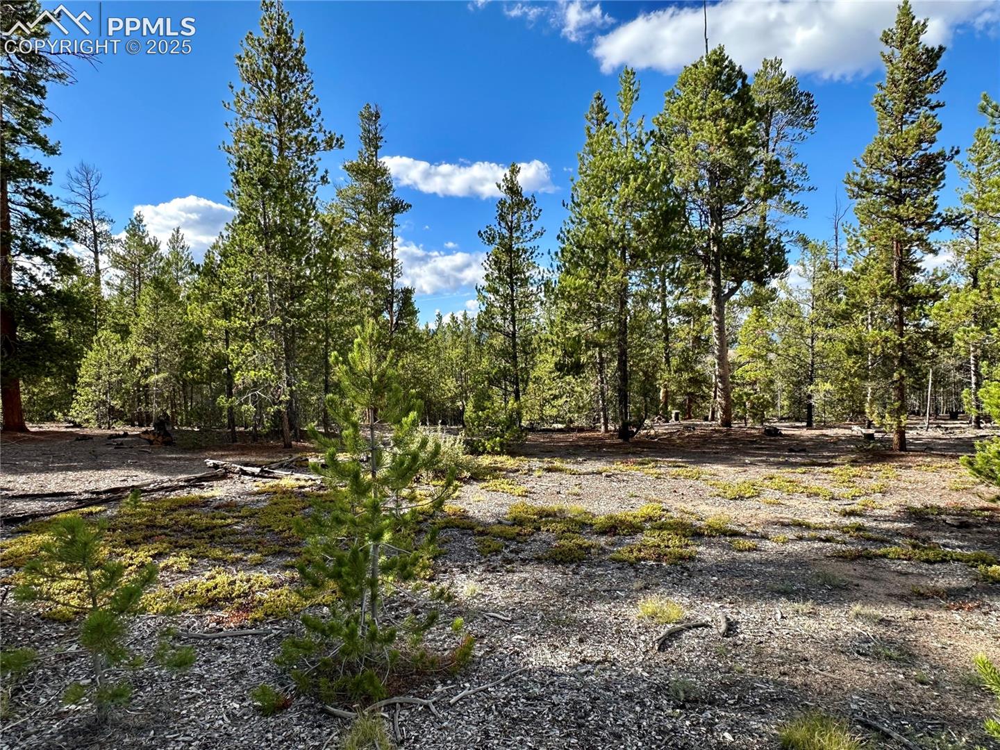 Photo 8 of 143 Fir Drive, Leadville
