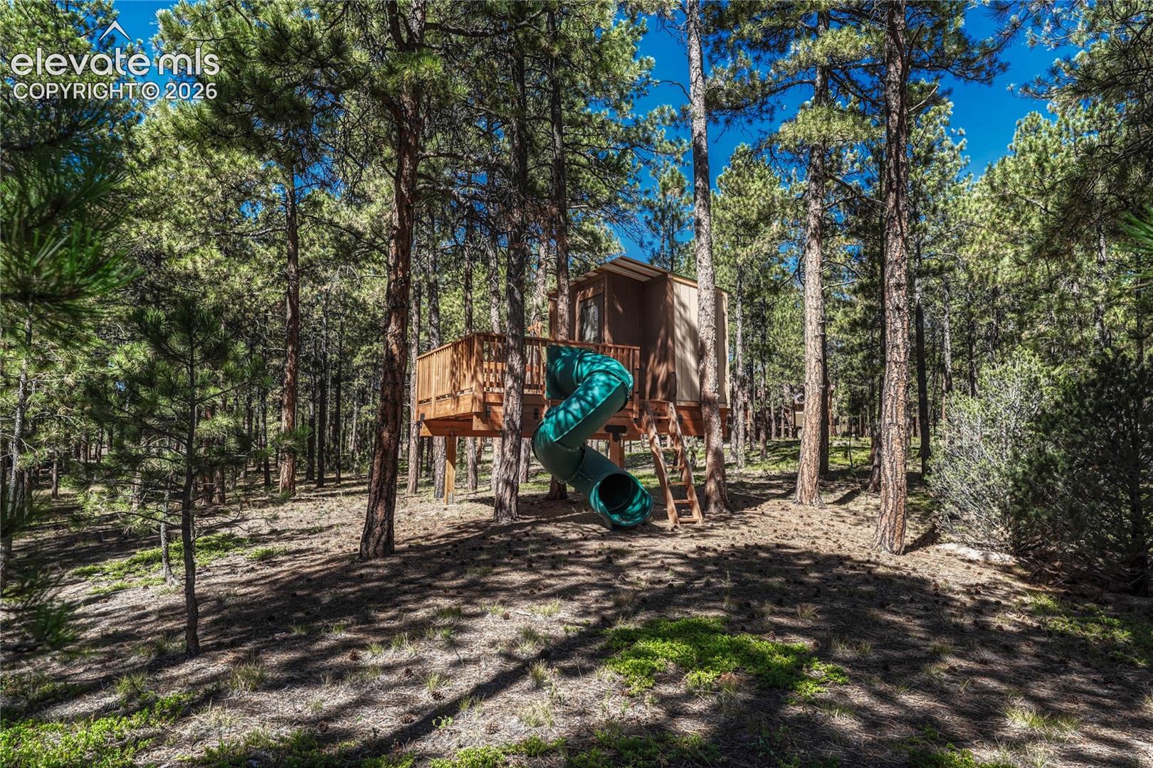 View of jungle gym