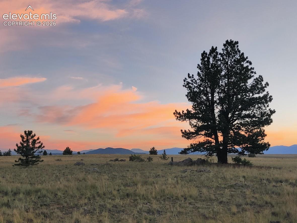 Photo 14 of 614 Yellowstone Road, Hartsel
