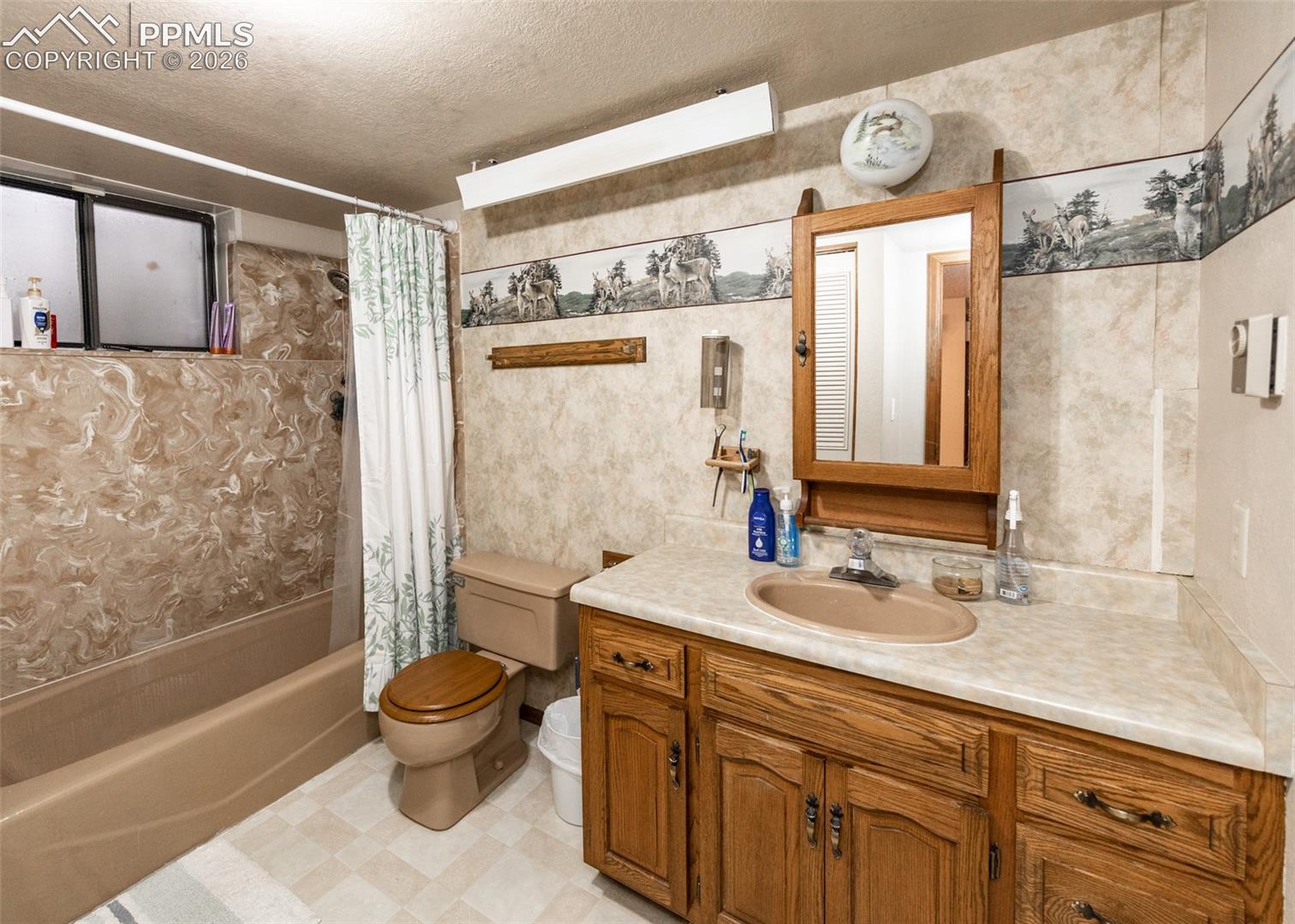 Bathroom in basement
