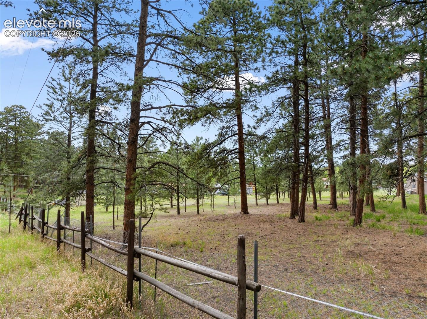 10 Ollie Ct, Woodland Park, CO 80863