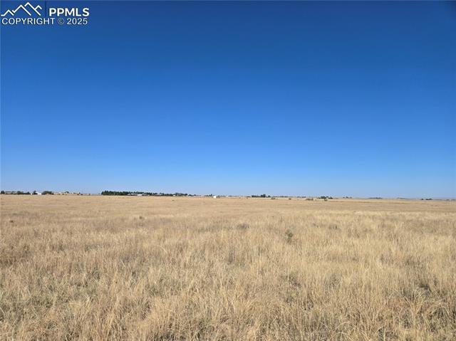 View of local wilderness featuring a rural view