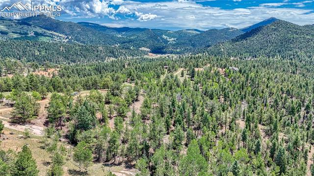 Photo 26 of 24 Wild Horse Circle, Cripple Creek