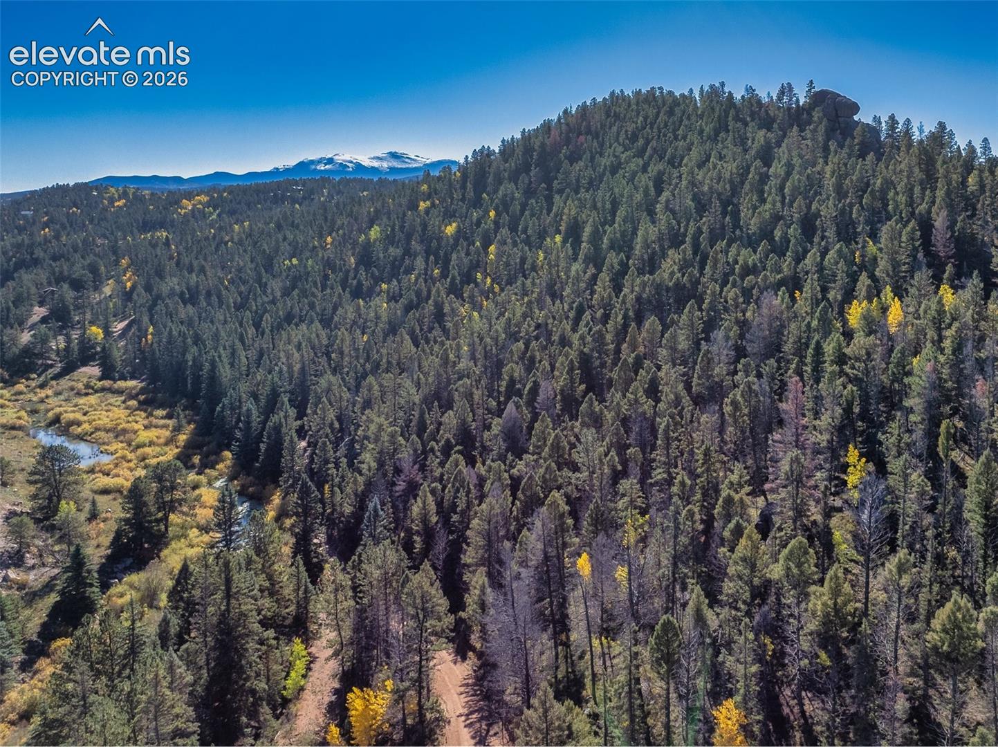 Expansive forested terrain featuring a winding stream, distant snow-capped mountains, and a clear blue sky