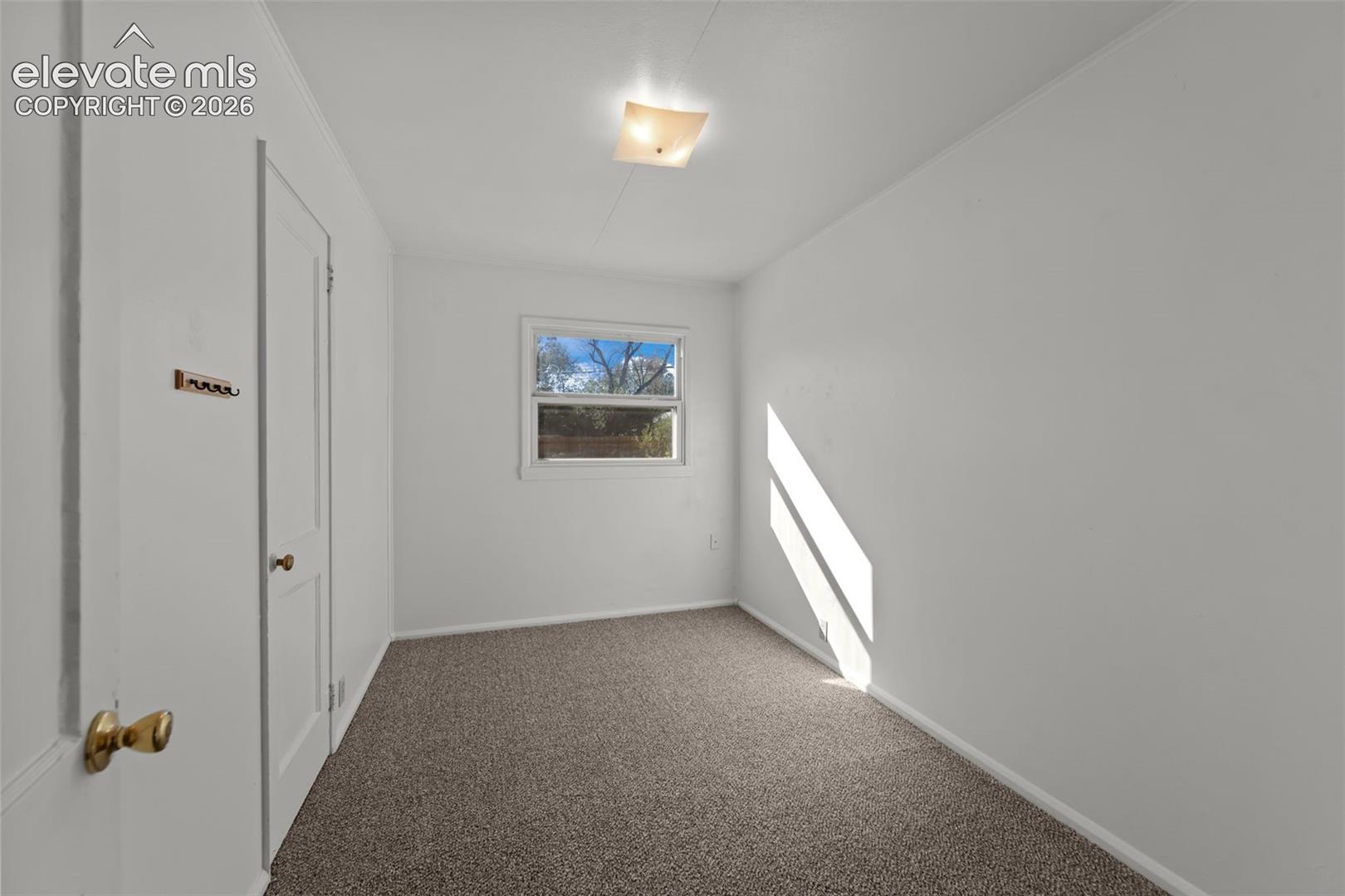 Interior room featuring neutral wall-to-wall carpeting, white walls, a single-pane window with wood trim, and a flush-mount light fixture
