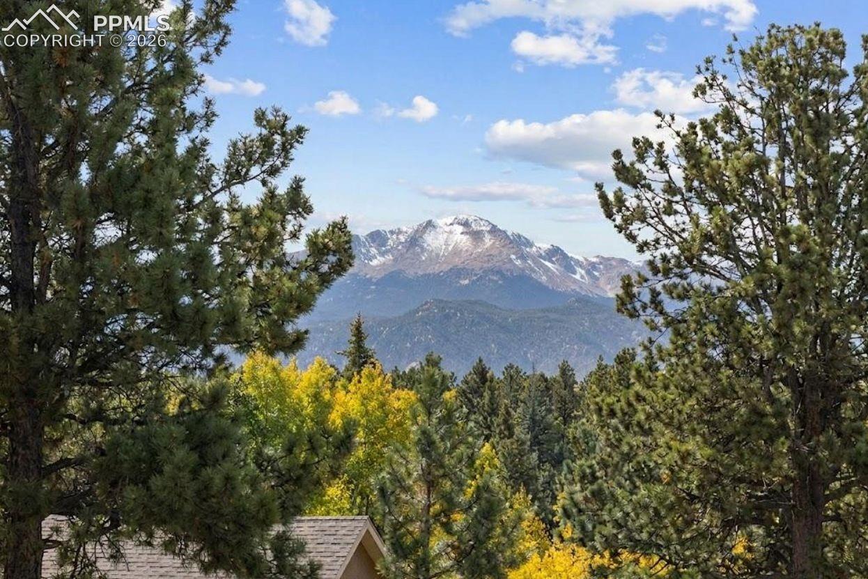 36 Illini Dr, Woodland Park, CO 80863